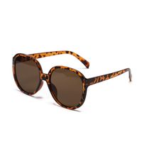 Big Frame Retro Sunglasses Wholesale sku image 3