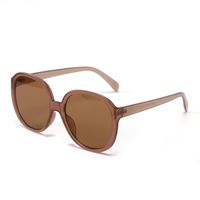 Big Frame Retro Sunglasses Wholesale sku image 4