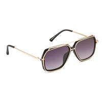 Fashion Wide Frame Metal Sunglasses Wholesale sku image 20