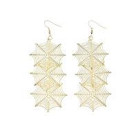 Novelty Spider Web Iron No Inlaid Earrings main image 6