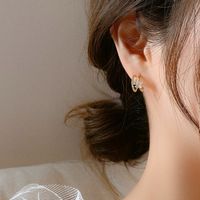 Wholesale Jewelry U-shaped Diamond Five Petal Flower Double Circle Stud Earrings Nihaojewelry main image 4
