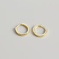 1 Pair Simple Style Geometric Circle Plating Sterling Silver Earrings sku image 4