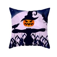 Funda De Almohada De Piel De Melocotón Con Estampado De Calavera De Gato De Halloween Al Por Mayor Nihaojewelry sku image 24