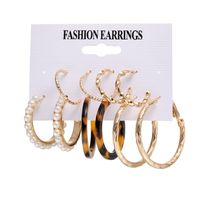 2021 New Creative Simple Fashion Retro Elegant Women's Jewelry Pearl Leopard Print Earrings 5-piece Set sku image 1