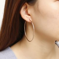 Simple Stainless Steel Hoop Earrings Wholesale Nihaojewelry main image 5
