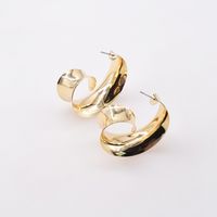 Retro Arc Circle Irregular Metal Earrings Wholesale Jewelry Nihaojewelry main image 3
