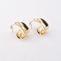 Retro Arc Circle Irregular Metal Earrings Wholesale Jewelry Nihaojewelry main image 4
