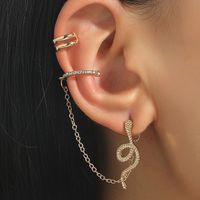 Wholesale Jewelry Snake-shaped Stud Long One-piece Chain Ear Clip Nihaojewelry main image 1