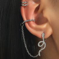 Wholesale Jewelry Snake-shaped Stud Long One-piece Chain Ear Clip Nihaojewelry main image 3
