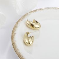 Metal Geometric Small Bean Irregular Simple Earrings Wholesale Jewelry Nihaojewelry main image 3