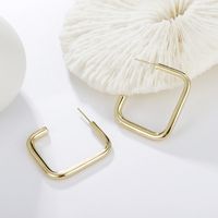 Geometric Metal Square Punk Style Earrings Wholesale Jewelry Nihaojewelry sku image 5