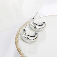 Metal Geometric Small Bean Irregular Simple Earrings Wholesale Jewelry Nihaojewelry sku image 6