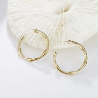 Irregular Twisted Simple Circular Metal Earrings Wholesale Jewelry Nihaojewelry sku image 5