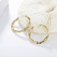 Irregular Twisted Simple Circular Metal Earrings Wholesale Jewelry Nihaojewelry sku image 1