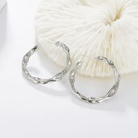 Irregular Twisted Simple Circular Metal Earrings Wholesale Jewelry Nihaojewelry sku image 2