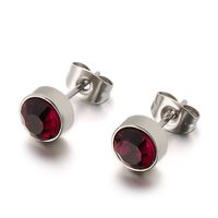 Stainless Steel Rhinestone Simple Earrings Wholesale Jewelry Nihaojewelry sku image 1