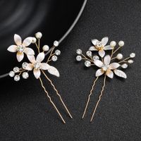 Alloy Fashion Flowers Hair Accessories  (alloy) Nhhs0543-alloy sku image 1