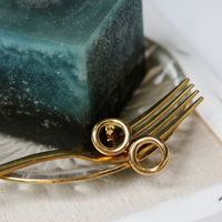 18k Einfache O-ring Dicke Kette Titanstahl Ohrringe Großhandel Nihaojewelry main image 5
