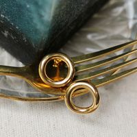 18k Einfache O-ring Dicke Kette Titanstahl Ohrringe Großhandel Nihaojewelry main image 4