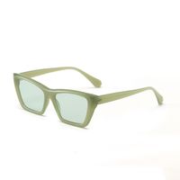Wholesale Multicolor Frame Cat's Eye Sunglasses Nihaojewelry sku image 4