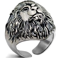New Fashion Punk Lion Shape Ring Wholesale Nihaojewelry main image 1