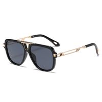 Retro Big Frame Hollow Temple Sunglasses Wholesale Nihaojewelry main image 6