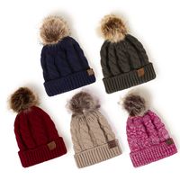 Korean Style Warm Leather Label Fur Ball Knitted Hat Wholesale Nihaojewelry main image 2