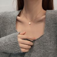 Titanium Steel Necklace Women's Dongda Online Influencer Refined Double-sided Gourd Hoisting Simple All-match Niche Normcore Bag Clavicle Chain main image 5