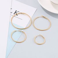 Fashion Geometric Stainless Steel 18K Gold Plated Earrings main image 4