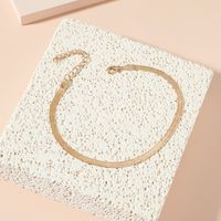Simple Snake Bone Chain Alloy Anklet Wholesale Jewelry Nihaojewelry main image 3