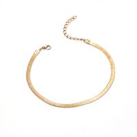 Simple Snake Bone Chain Alloy Anklet Wholesale Jewelry Nihaojewelry main image 5