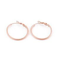 Fashion Geometric Stainless Steel 18K Gold Plated Earrings sku image 1