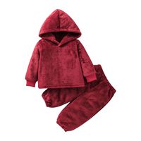 Wholesale Baby Pink Hooded Tops Pants Two-piece Set Nihaojewelry sku image 14