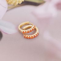 Fashion Plating Copper No Inlaid Earrings main image 5