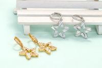 Retro Five-pointed Star Hollow Earrings Wholesale Nihaojewelry main image 4