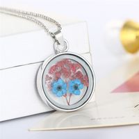 Fashion Natural Plant Specimens Dried Flower Pendent Necklace Wholesale Nihaojewelry main image 6