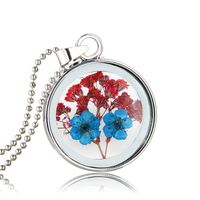 Fashion Natural Plant Specimens Dried Flower Pendent Necklace Wholesale Nihaojewelry sku image 1