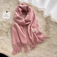 Women's Casual Simple Style Letter Rayon Polyester Tassel Scarf sku image 9
