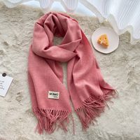 Women's Casual Simple Style Letter Rayon Polyester Tassel Scarf sku image 25