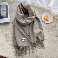 Women's Casual Simple Style Letter Rayon Polyester Tassel Scarf sku image 28
