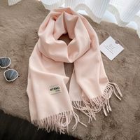 Women's Casual Simple Style Letter Rayon Polyester Tassel Scarf sku image 11