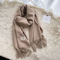 Women's Casual Simple Style Letter Rayon Polyester Tassel Scarf sku image 14