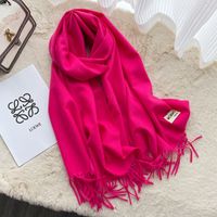 Women's Casual Simple Style Letter Rayon Polyester Tassel Scarf sku image 20