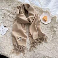 Women's Casual Simple Style Letter Rayon Polyester Tassel Scarf sku image 21