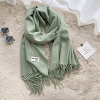 Women's Casual Simple Style Letter Rayon Polyester Tassel Scarf sku image 24