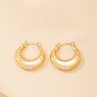 Fashion Geometric Alloy Earrings Wholesale sku image 1