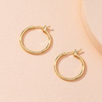 New Trendy Big Hoop Fashion Exaggerated Earrings For Women Hot-saling Wholesale sku image 2
