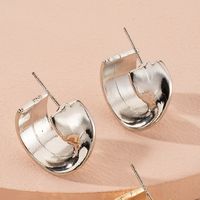Korea Simple Style Metal  Geometric Trend Earrings Wholesale Nihaojewelry sku image 1