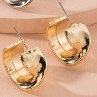 Korea Simple Style Metal  Geometric Trend Earrings Wholesale Nihaojewelry sku image 2