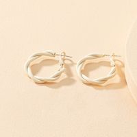 Korean Twisted Resin Earrings Wholesale sku image 2